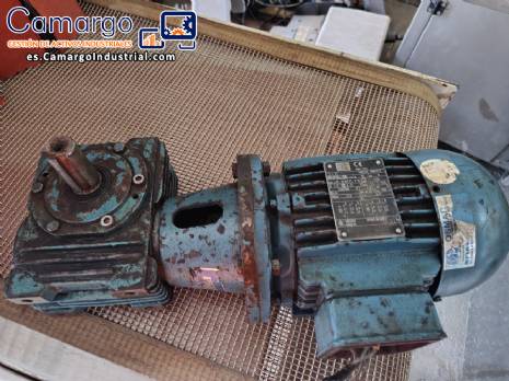 Motorreductor con motor trif�sico de 0,75 CV, marca Cestari