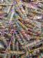 Industria de fabricaci�n de paletas de colores, chupetes, tweeps, caramelos y deliciosas golosinas.