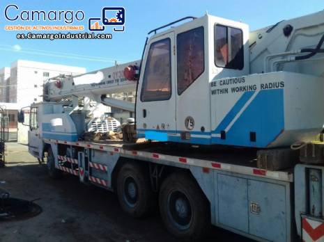 Gr�a por 30 toneladas Zoom Lion