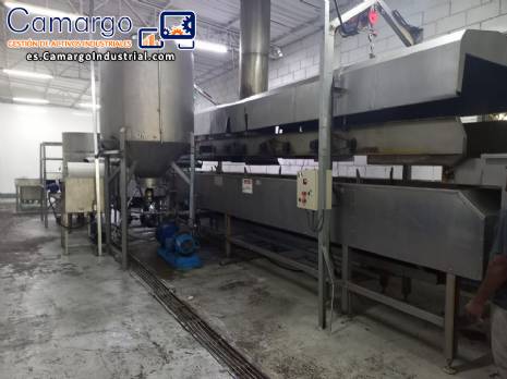 L�nea para la fabricaci�n de papas fritas y chips MCI