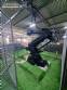 Robot industrial Comau C3G Plus