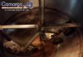 Olla al vac�o acero inoxidable