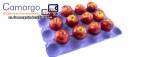 Lneas de produccin de bandejas para huevos Eco-Recycle-Equip
