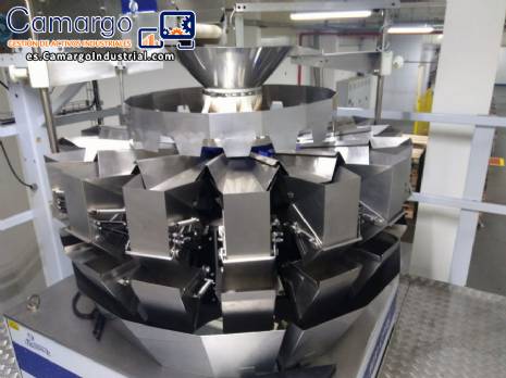 Envasadora vertical multicabezal Masipack Envasadora vertical multicabezal Masipack